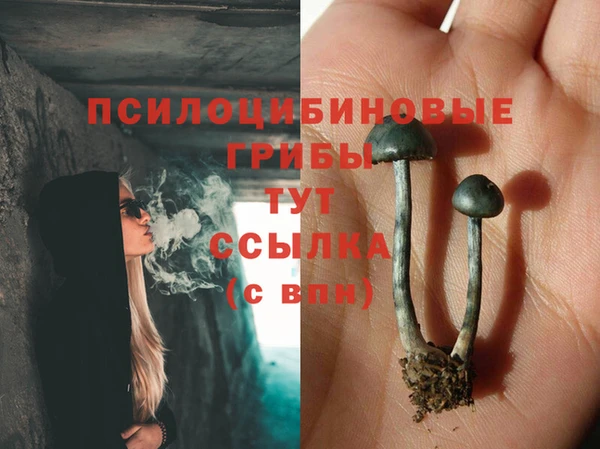 метадон Дмитров