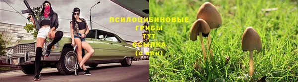 COCAINE Дмитриев